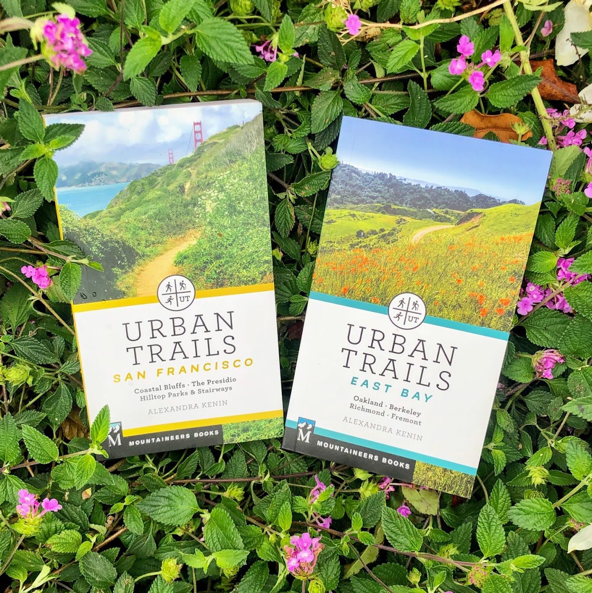 Quick little plug before the holiday is upon us...our books make great holiday gifts! And there's a new edition of Urban Trails SF out with lots of updates since the first printing in 2016. Buy on bookshop.org, on Amazon, or in person at your favorite local bookstore.