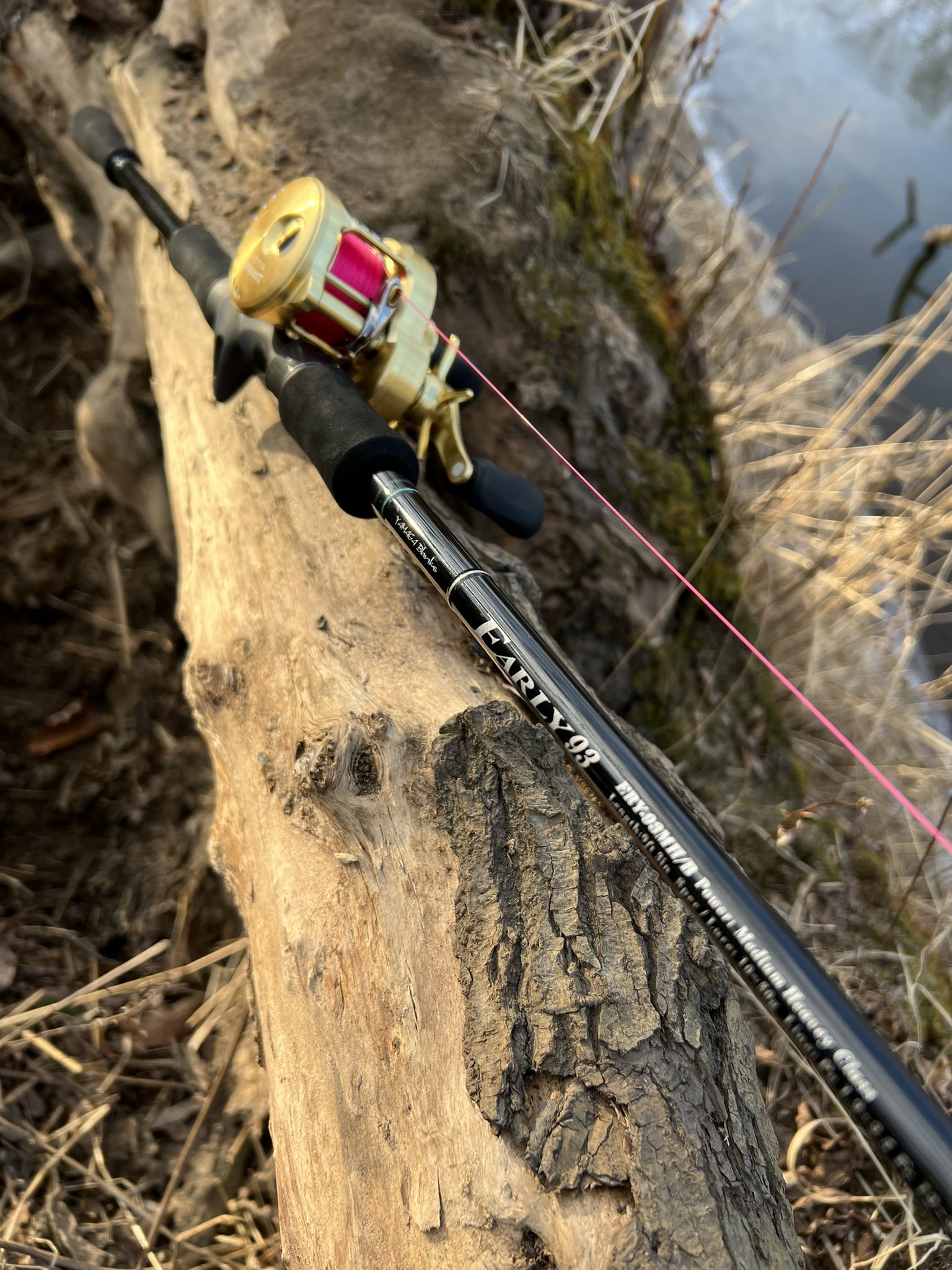 LUNKER'S ランカーズクシロ on Twitter:
