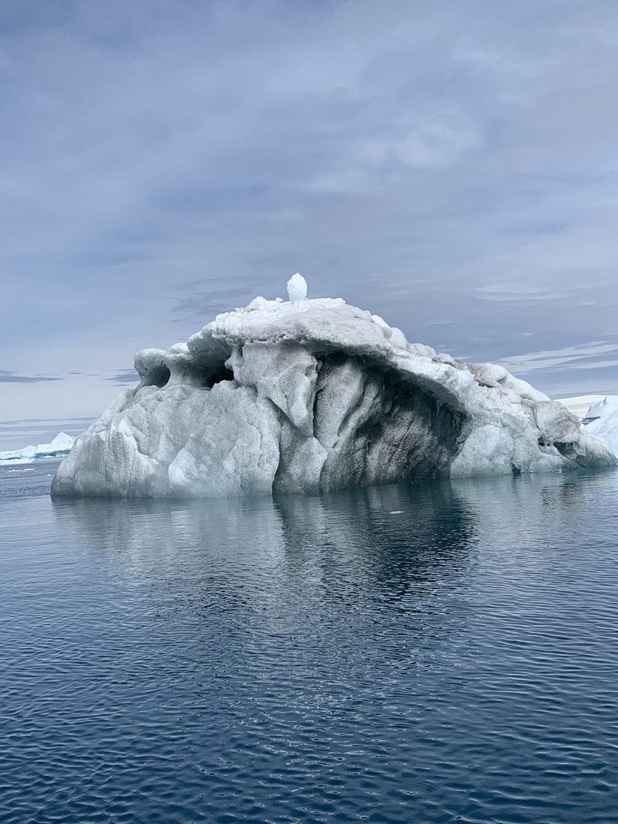 Brett Anitra Gilbert (she/her) tweet media