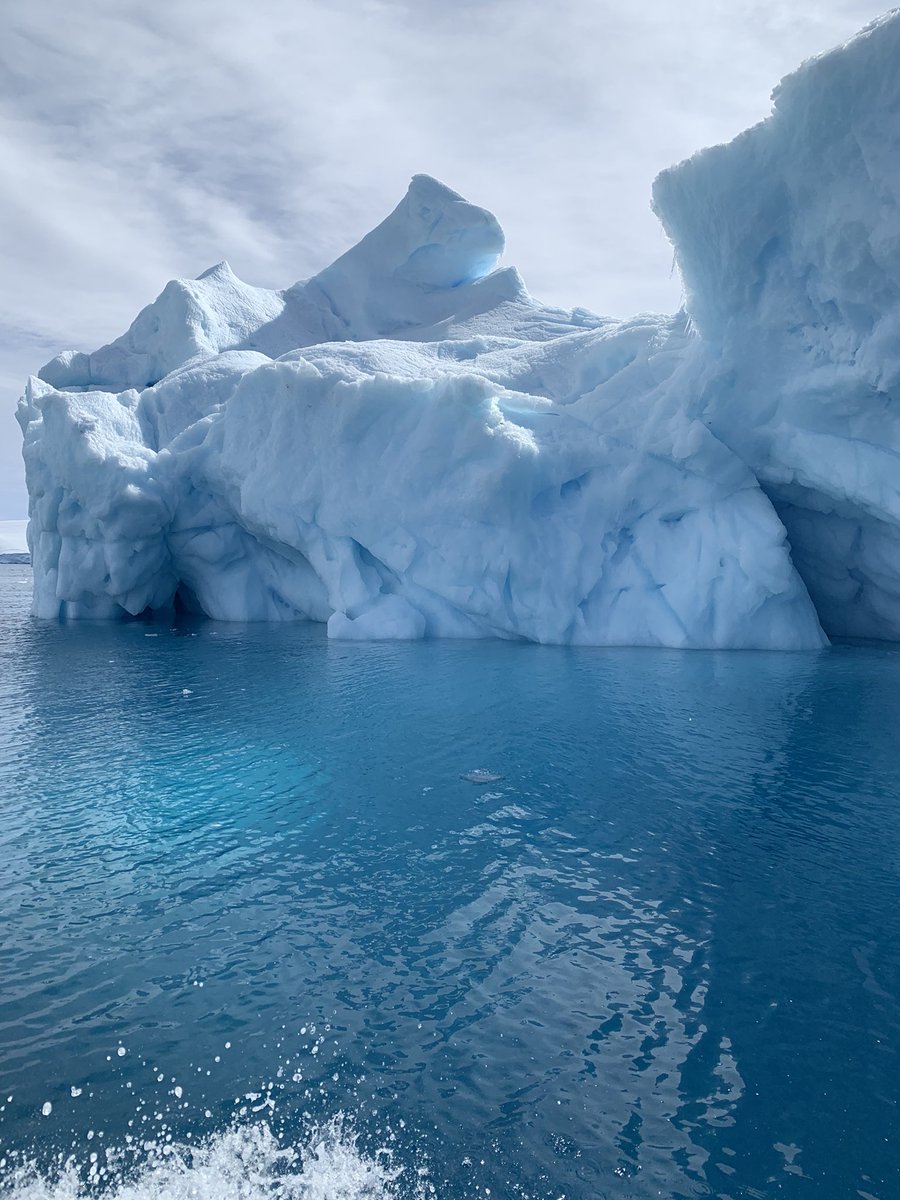 Brett Anitra Gilbert (she/her) tweet media