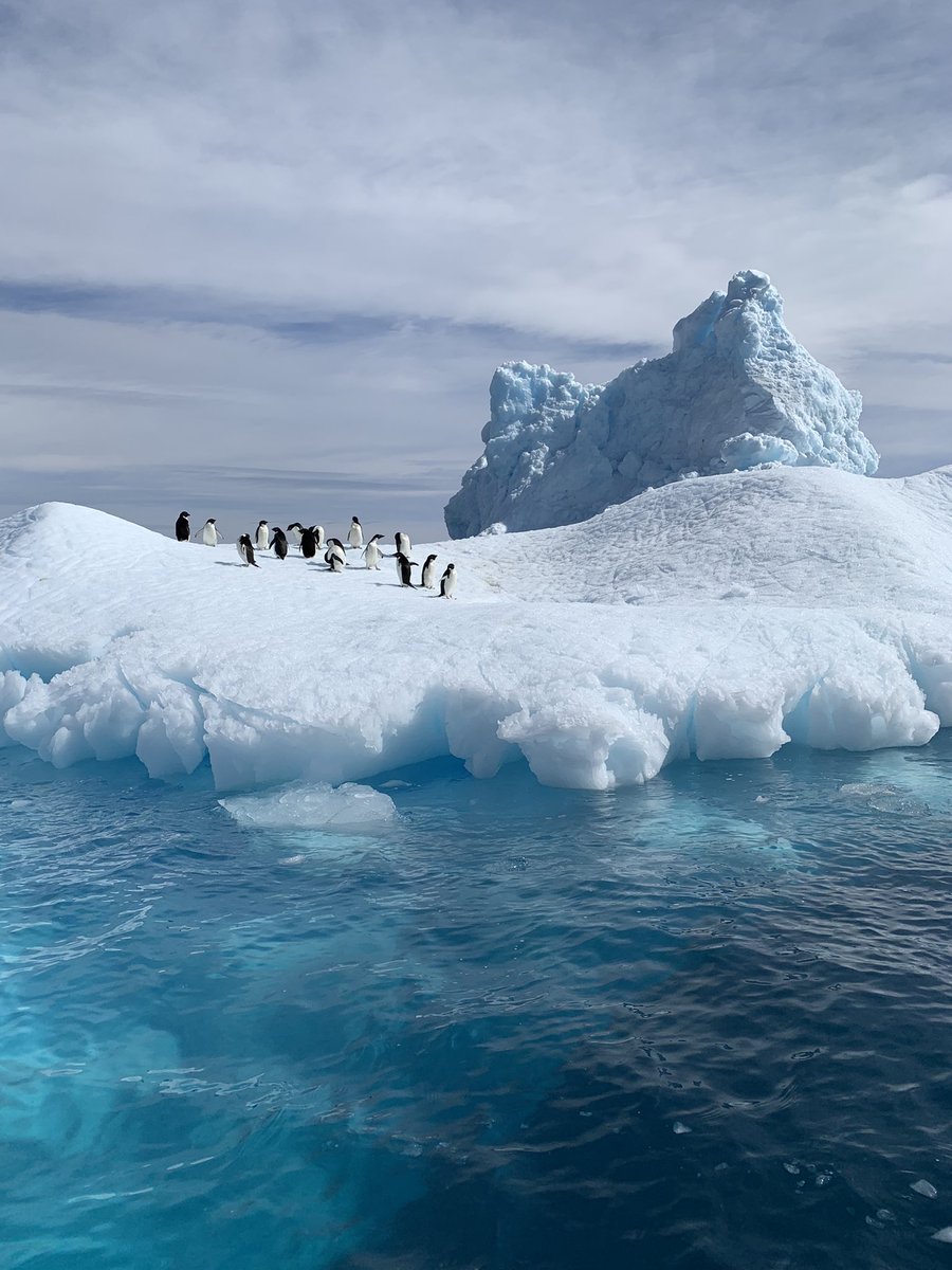 Brett Anitra Gilbert (she/her) tweet media