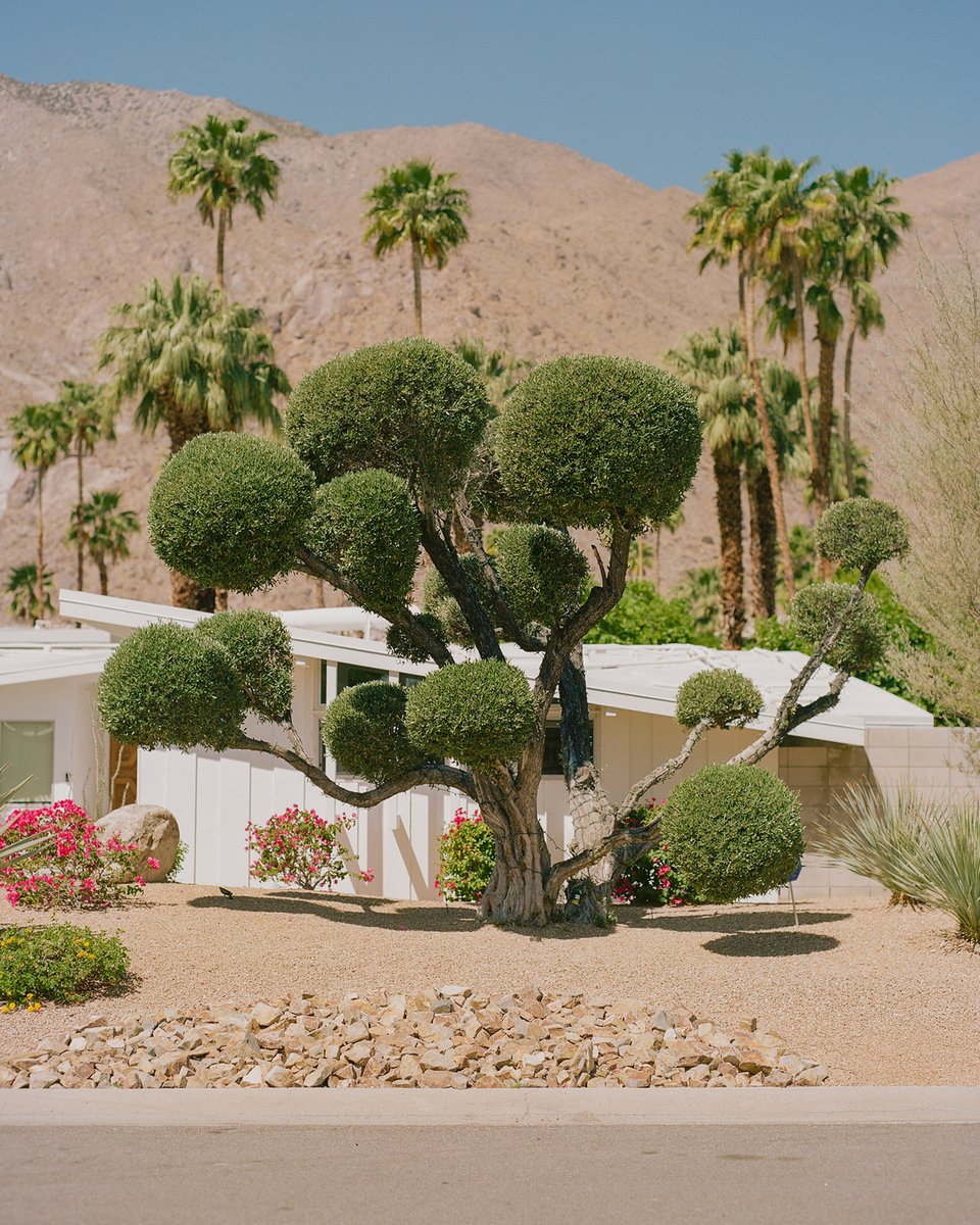 dinokuznik's tweet photo. After what seems like contemplating it forever, observing the space and talking to a lot of photographers that I respect and admire, I am debuting my first collection.
-
"A portrait of Palm Springs" is now available on Foundation. https://t.co/HQnF01HOL7