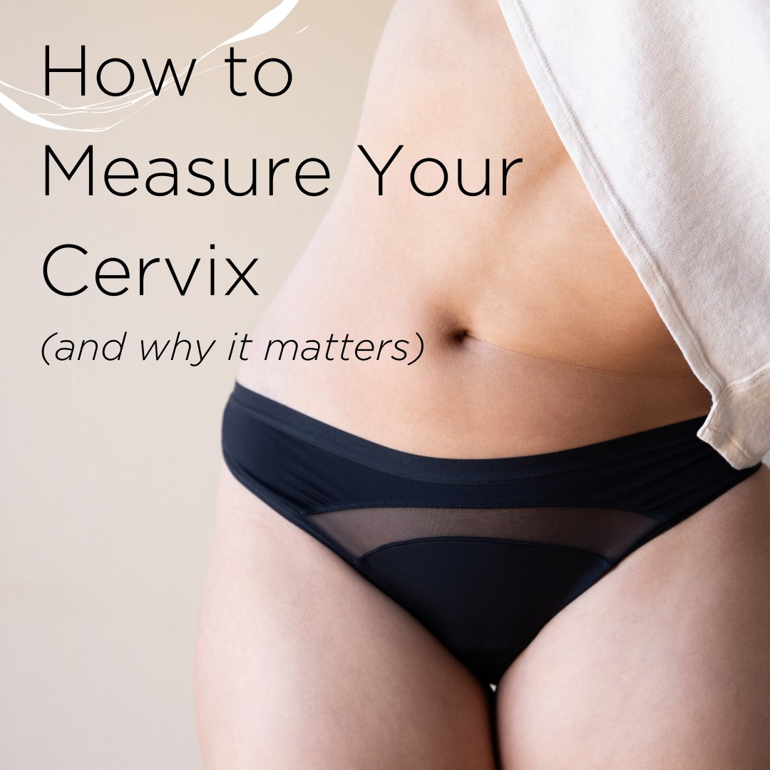Saaltco's tweet photo. Why measure your cervix?
It could make the difference between a great cup placement and a not-so-great cup placement.
Click to find out how👇
https://t.co/ZRk1DK3IGq
#PassTheSaalt #PeriodCare #SaaltCup https://t.co/kc0KPfTKsx