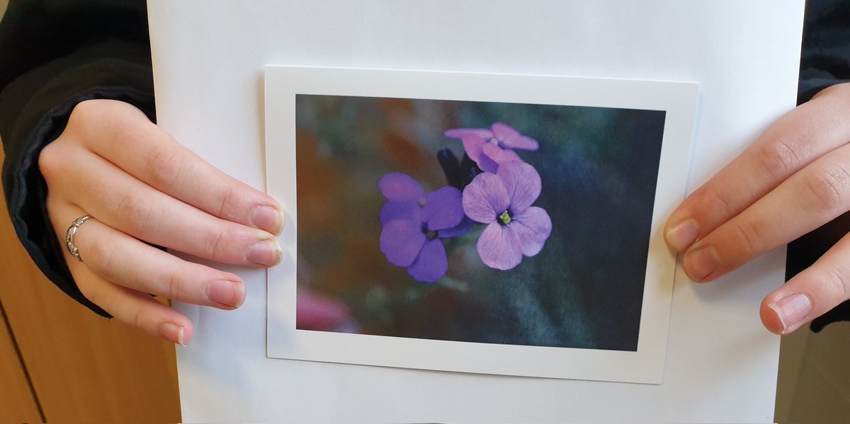 BiggarHigh's tweet photo. More card designs from our young photographers . . . #bhs_creativity https://t.co/3GTcSUbSC8