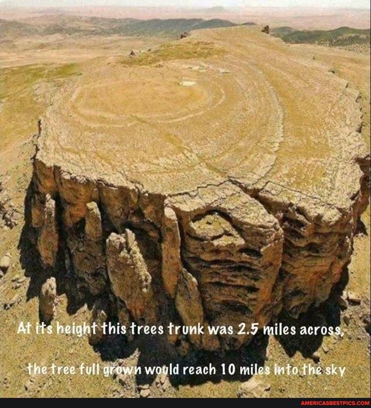 dash_riproc's tweet photo. #ad #meight #trees
https://t.co/JyzVGOOYwe
Interesting.
#AmericasBestPicsAndVideos https://t.co/YLUuAf4iuZ