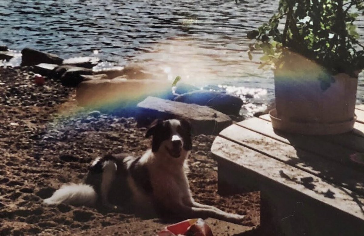 StonePathExplo1's tweet image. About 9 months old. I knew from the beginning that Oban was extra special. No rain or other reason for this rainbow 🌈 to be here. But look closely at the top of the rainbow….