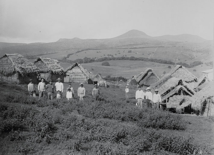 On the remote island of San Cristóbal in the #Galapagos archipelago, archaeologists have unearthed the ruins of a 19th-century plantation that prospered for a time despite the unforgiving environment.

archaeology.org/issues/455-220…