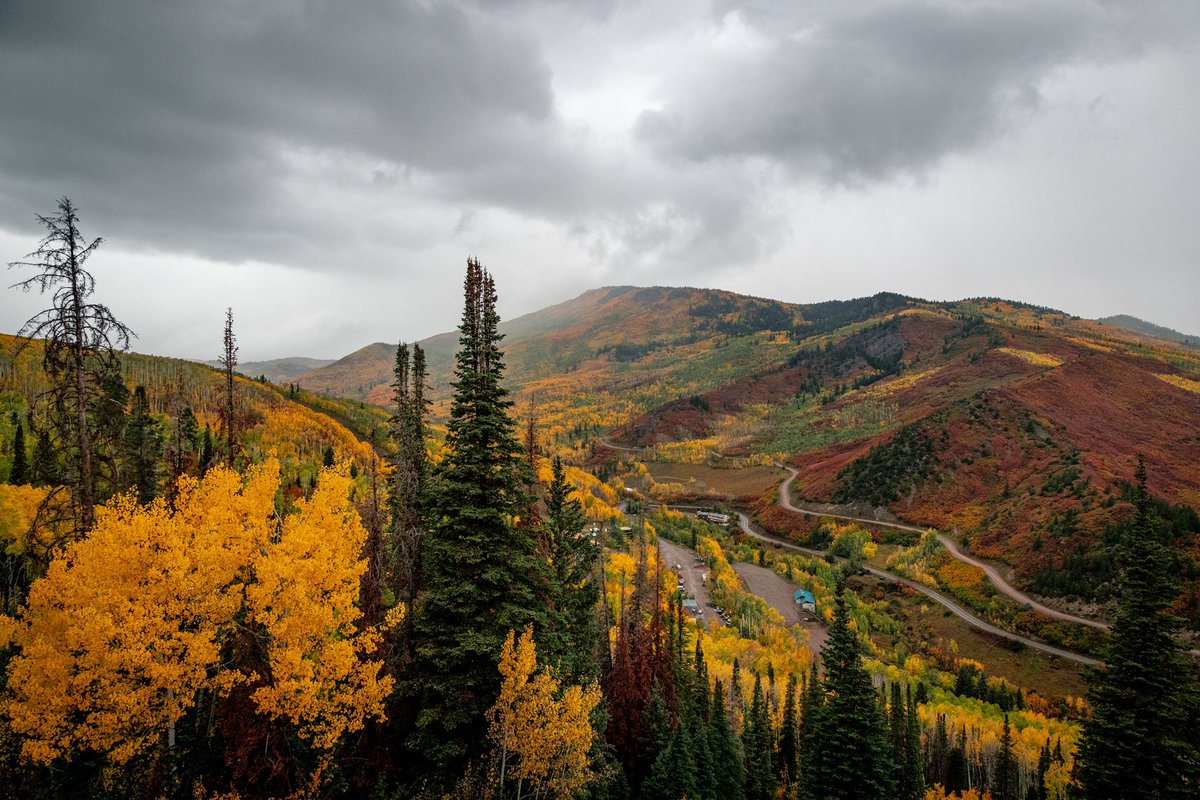 wrgoodie's tweet photo. Throwback to #fall :) #colorado #plants #mountains #canonphotography https://t.co/ClItQ5RWAA