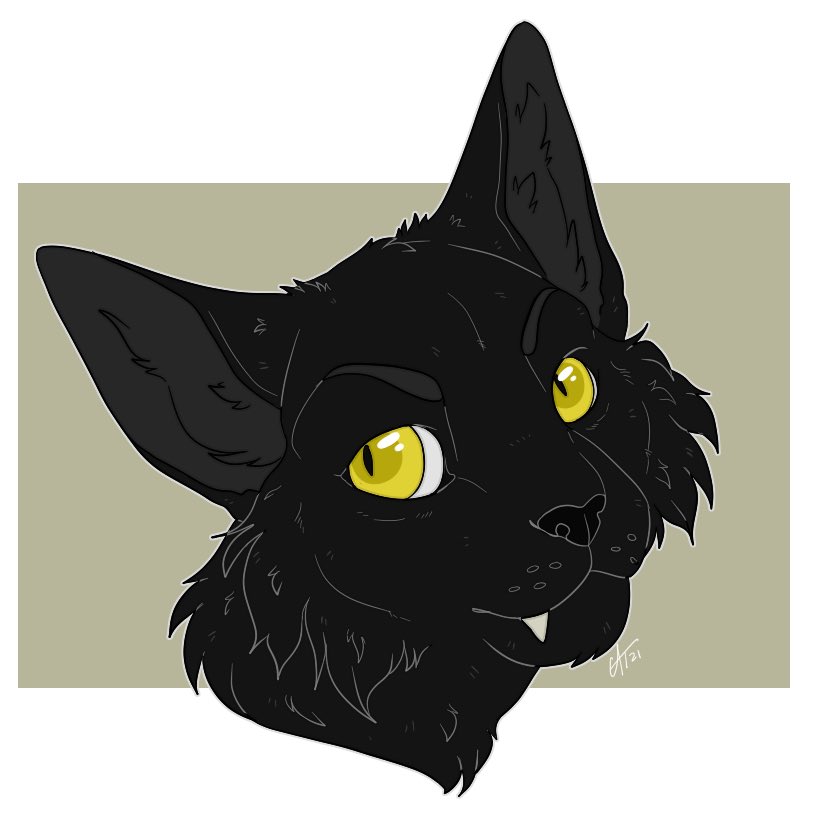 Headshot for <a href="/ad_maxima/">MAXIMA AD</a> !