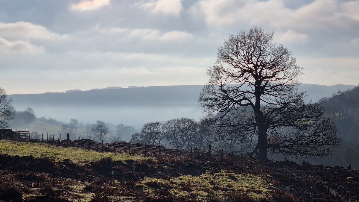 walkingthepeaks's tweet photo. Lovely out in the @peakdistrict this morning.

This was a short 6km walk around North Lees and Hathersage.

For more walk guides, head to https://t.co/g4q5OX55QU https://t.co/aC3rEoLNr1