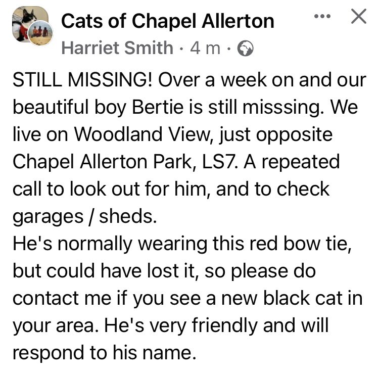 Chapel A Today tweet media