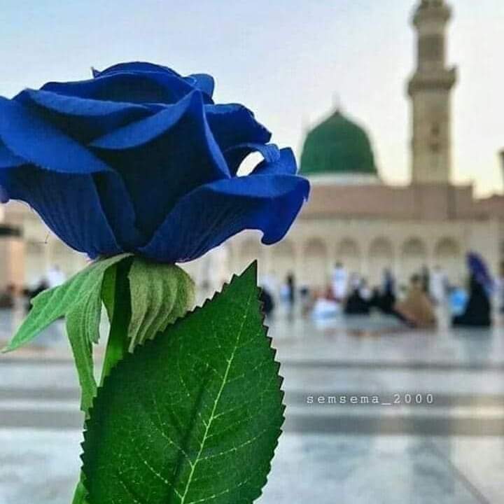 "ونعوذُ بك اللهم من التدين السطحي ووهم الإلتزام والظن بأننا مُهتدون..
اللهم أجعل باطني خيراً من ظاهري وأجعل سري خيراً من علانيتي واهدني بك وإليك 
يارب العالمين