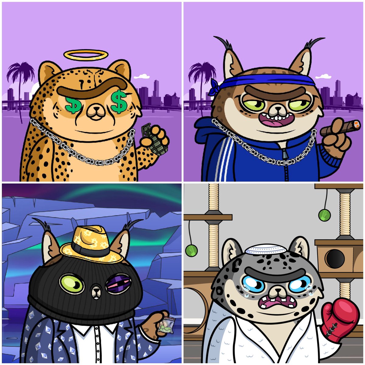 Robert Sturm-Tamez tweet media