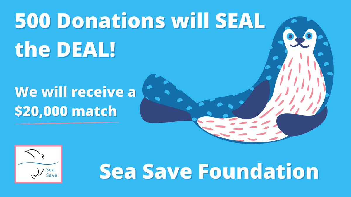 seasave's tweet photo. It's our Challenge 500 Year End Fundraiser - help us win the $20k match donation today, so we can #sealthedeal π¦
Donate to our link in our bio or visit https://t.co/QAnMreJltw β€οΈ
#sealsofinstagram #spottedseal #saveanimals #sealcuteness #seasavefoundation #freetheocean https://t.co/oTPXvays1A