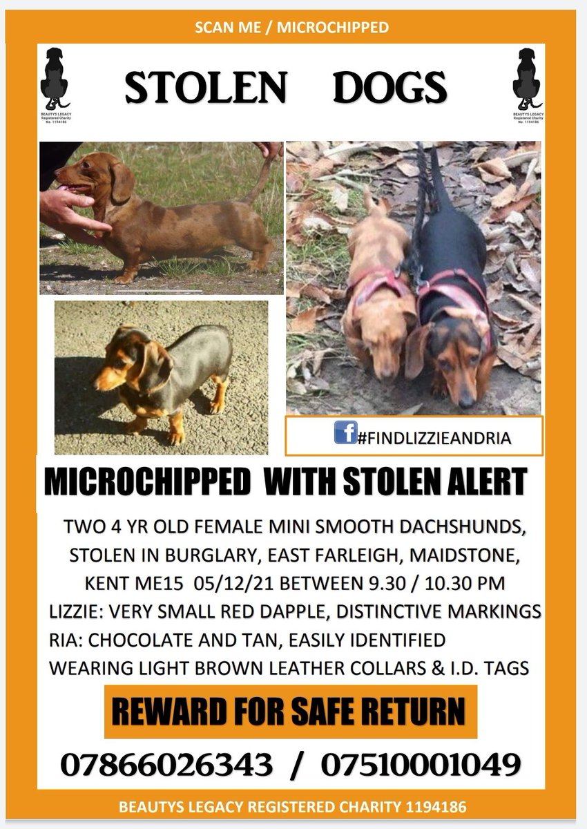 A little girl &amp; her dog, both grieving. Both pining for their stolen friends. Lizzie and Ria were stolen from their home on 5th dec.
These two girls are beyond heartbroken. Pet abduction is so cruel. Please share, help, poster, support #findlizzieandria #petabduction #Christmas