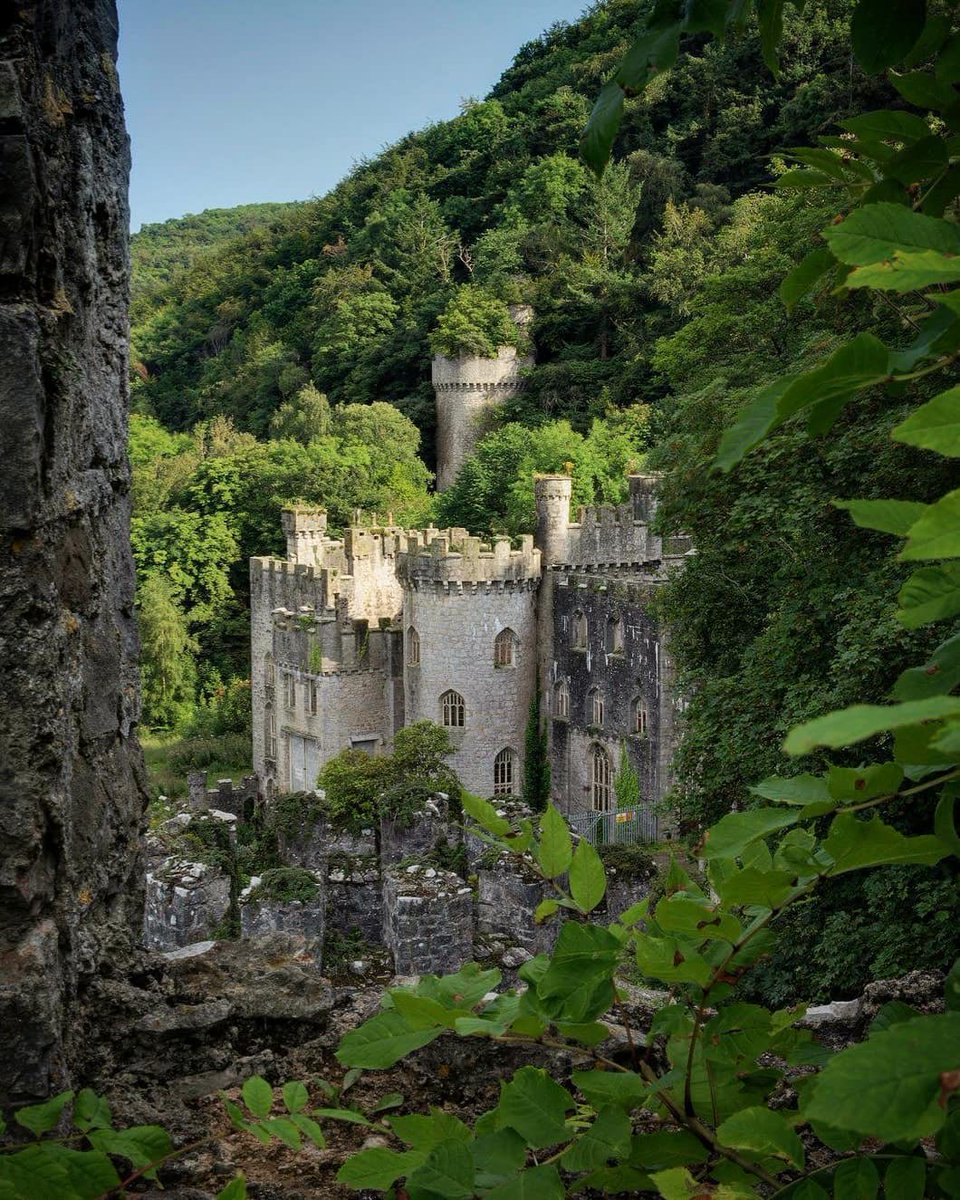 Here’s a photo of Gwrych Castle in 2014 by Forgotten Heritage, taken prior to the transformation of our formal gardens. Volunteers planted 5,000 plants in 2017 to transform the derelict former private gardens into a colourful masterpiece 🏰🏴󠁧󠁢󠁷󠁬󠁳󠁿