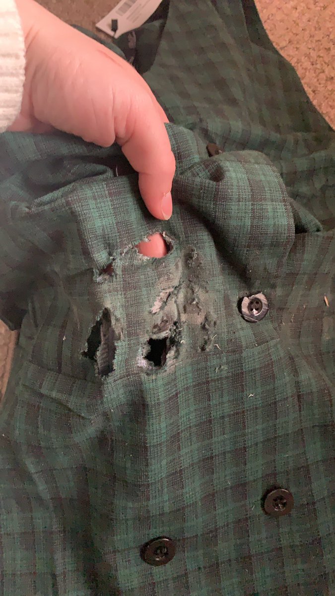 cailamaid's tweet photo. @boohoo @boohoo_cshelp @Hermesparcels 
How my delivery arrived today? Rat eaten https://t.co/M9QuwRN6Ut