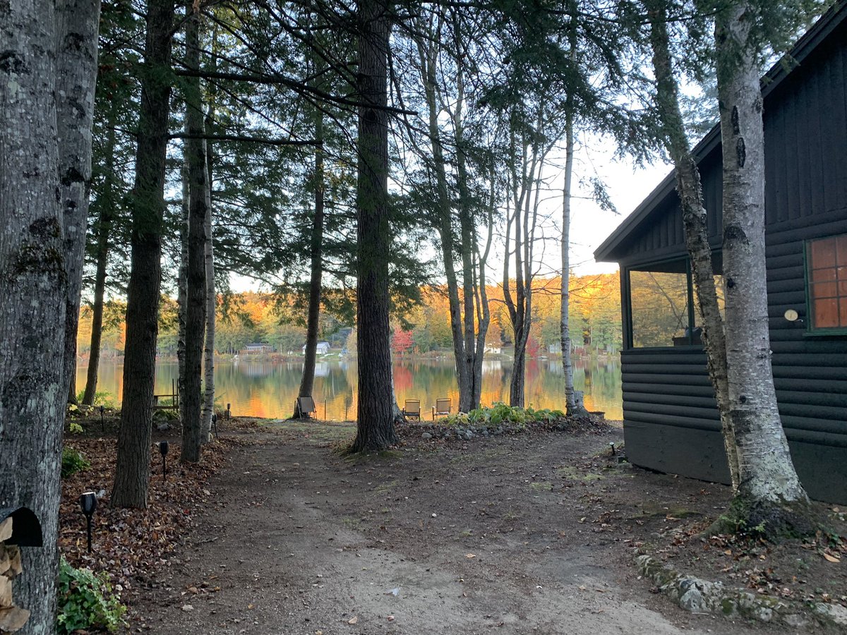 Laura Cohen Escobar tweet media