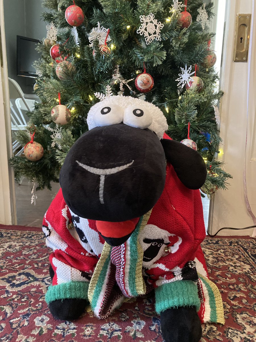 woolly_wilson's tweet photo. It’s #NationalUglyChristmasSweaterDay but I don’t think my sweater is very ugly, do you?
#sheepnanigans #woollychristmas https://t.co/QNgr2CPGk1