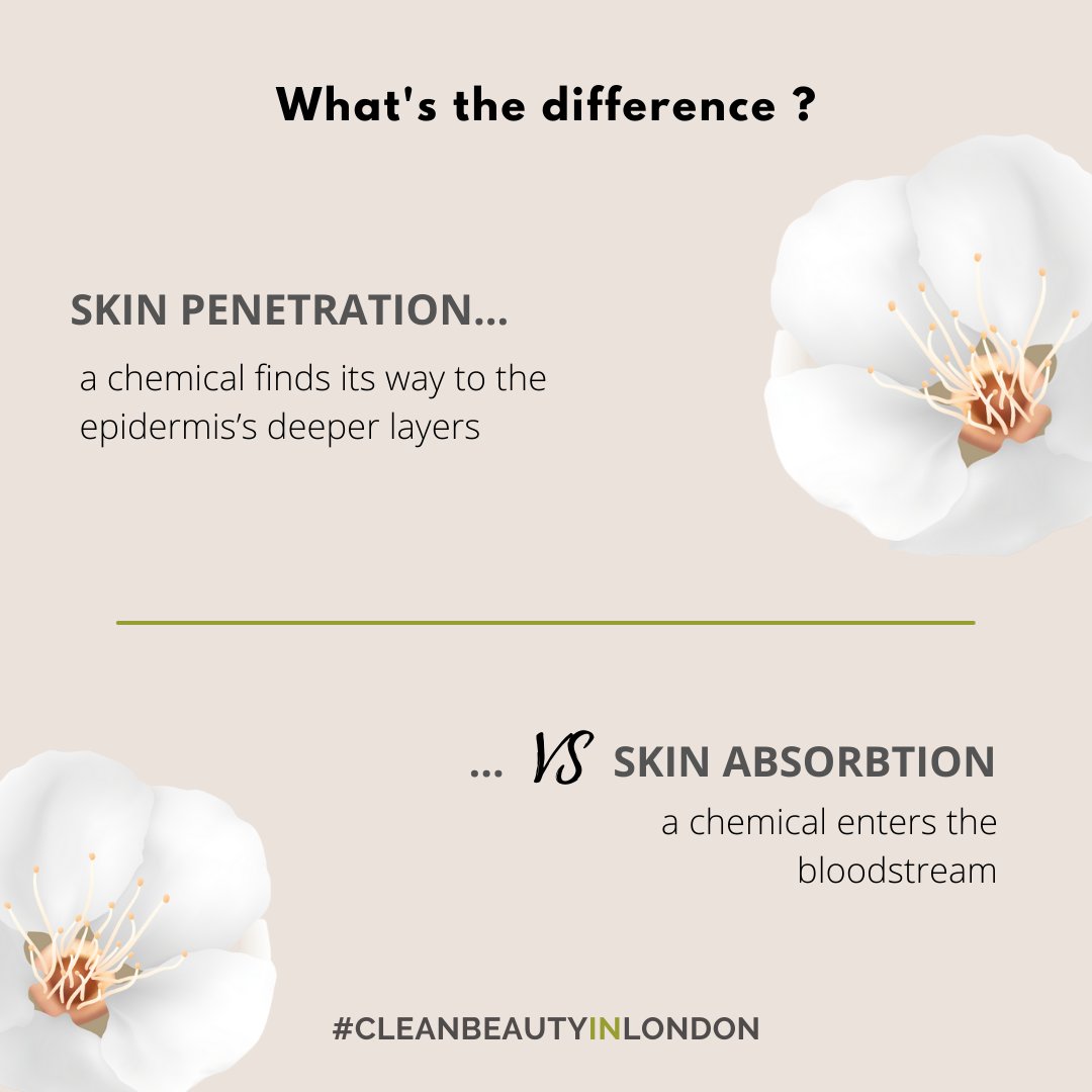 CleanBeauty_inL's tweet photo. Skin penetration / absorbtion : what's the difference ?🤷‍♀️

Ofter used interchangeably, there's a big distinction, especially when products contain unhealthy compounds.

Read #Blissoma's article:  https://t.co/BHCzKPk4Bd

📍Register to #CleanBeautyinLondon: https://t.co/8ZJMwbzfOE https://t.co/NbMSgcJvLL