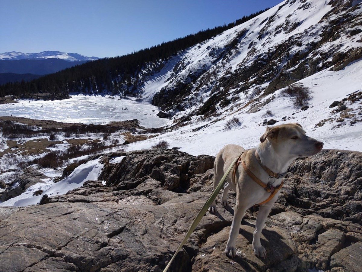 вяуαη ρ. кєℓℓєу tweet media