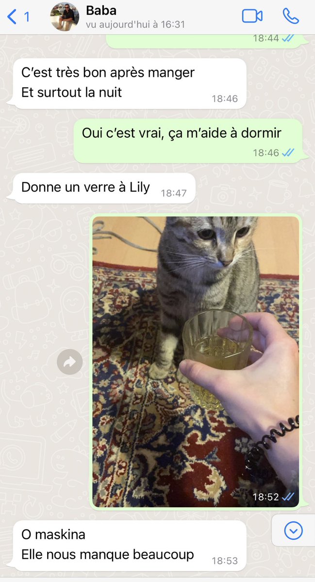 Mon père toute mon enfance : « Pas d’animaux à la maison, c’est hors de question😡🙅‍♂️ »

Mon père depuis que j’ai ma chatte Lily :