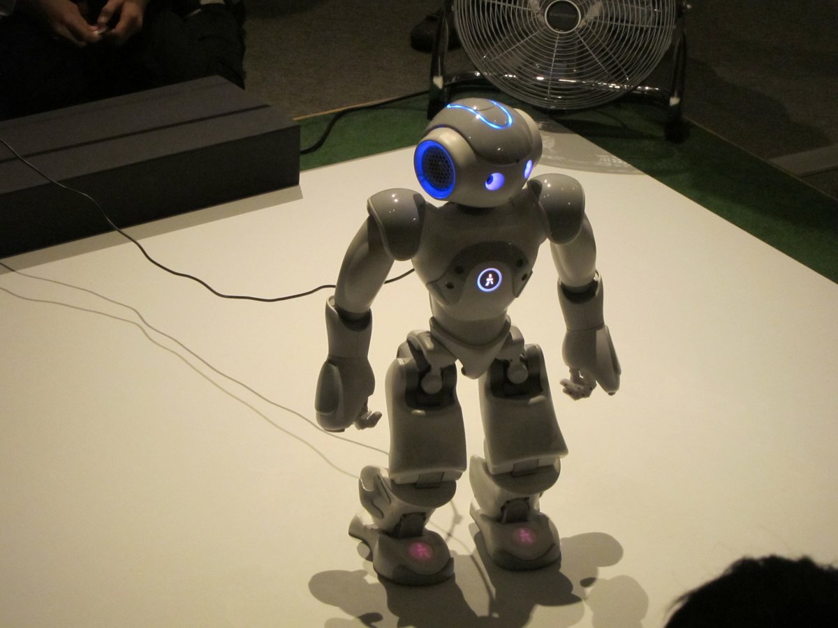 Der humanoide Roboter Nao