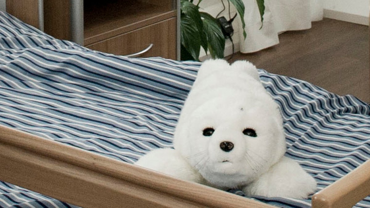 Der Pflegeroboter Paro