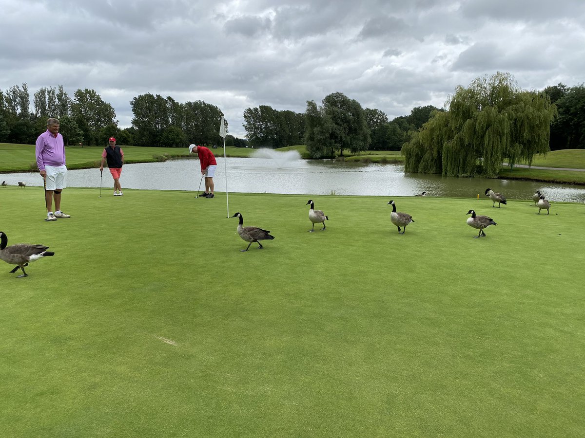 Steve Broadbent tweet media