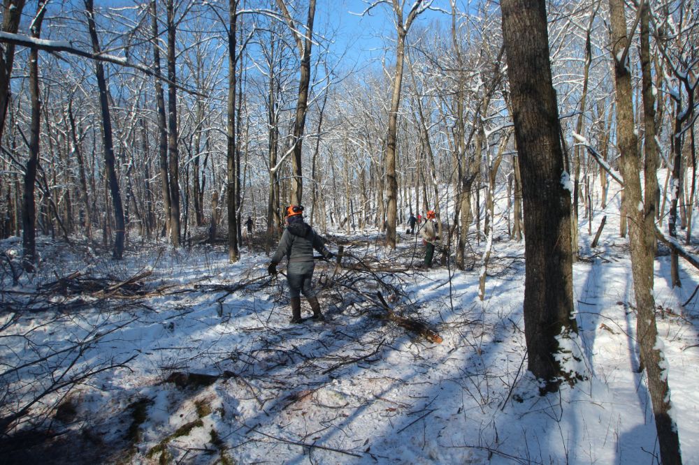 Want to restore your landscape back to its #natural beauty? 🌿

Our #winter clearing service removes the heavy brush and debris that's preventing your landscape from flourishing.

See what our services can do for your #landscape today! ☎️ 815-247-4457

pizzo.info/natural-areas-…