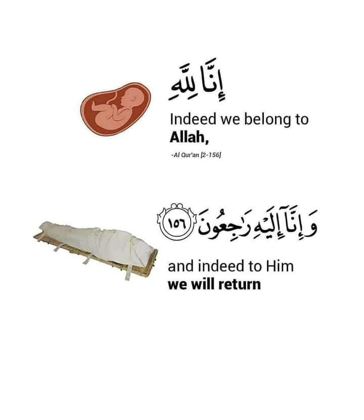 Haseeb10161's tweet photo. @uhslhrofficial @jakramaimc @Falakofficiall https://t.co/kGdpncxSPI