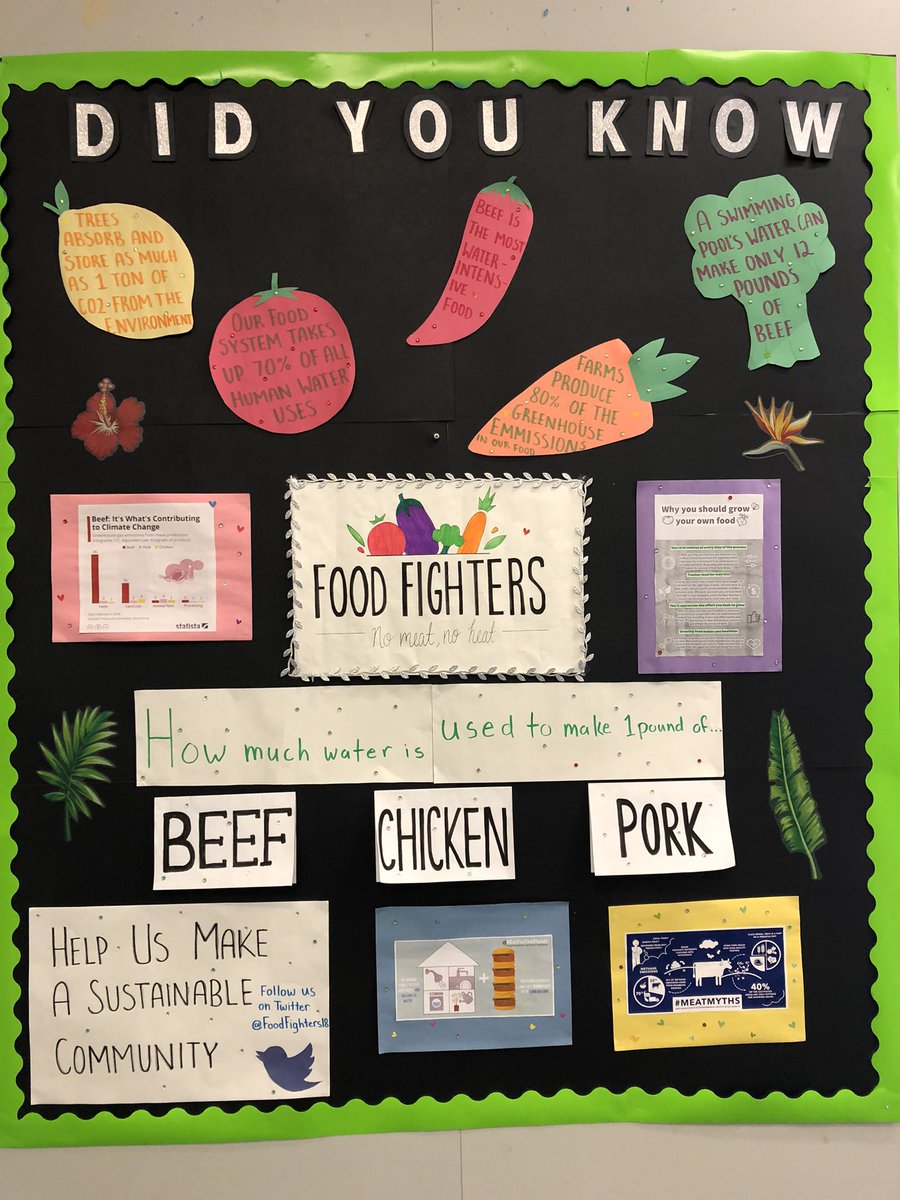 Lindsay Butson tweet media