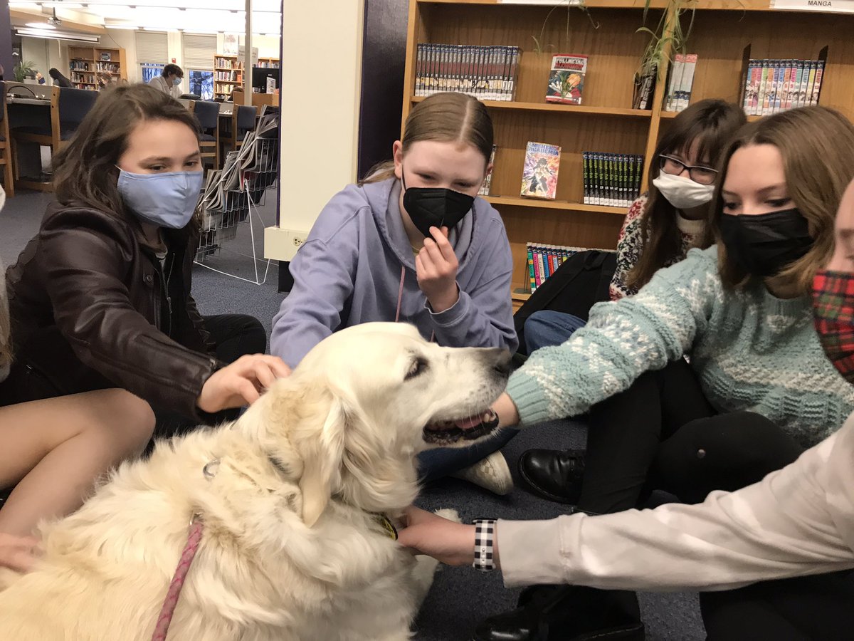 TherapyDaisy's tweet photo. This morning I visited @HickmanLMC for de-stress December and had about 100 students stop by for some loving &amp; free bookmarks! Also had preschoolers come up, no images allowed so picture this, a dozen hands on me &amp; kids hugging me &amp; I put my chin on a kids lap and took a nap! https://t.co/PDb82kocUH