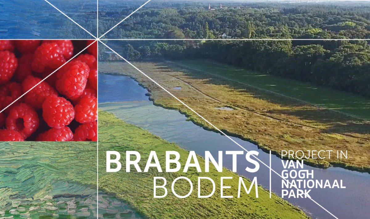 VanGoghNP's tweet photo. Ondernemer gezocht om 15.000 hectare boerenland mooier te maken. Ambities om samen met boeren via korte ketens aan een nieuwe toekomst te bouwen?
https://t.co/MJewhhT6vv https://t.co/si0uomhOWk