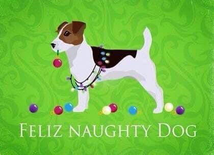😂😂😂 
#doghumor #seattledogs #dogsoftwitter