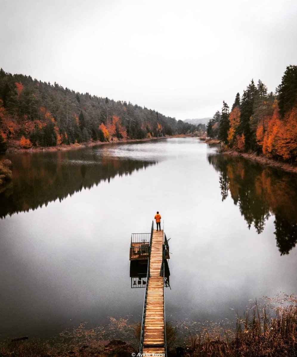 Bozcaarmut Göleti - Bilecik 📍
Bilecik’in pek de bilinmeyen doğa harikası Bozcaarmut Göleti’ne daha önce gittiniz mi?🍁 Gölette balık tutabilir, kamp veya piknik yapabilir, doğa yürüyüşü yaparak stres atabilir ya da fotoğraf çekebilirsiniz. ❤️

biletall.com/ucak-bileti