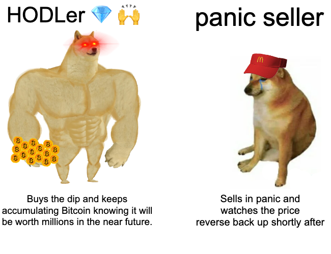 carlmoon's tweet photo. Do you HODL #Bitcoin or do you panic and sell?

👇 https://t.co/4Qy4Wz8y6W
