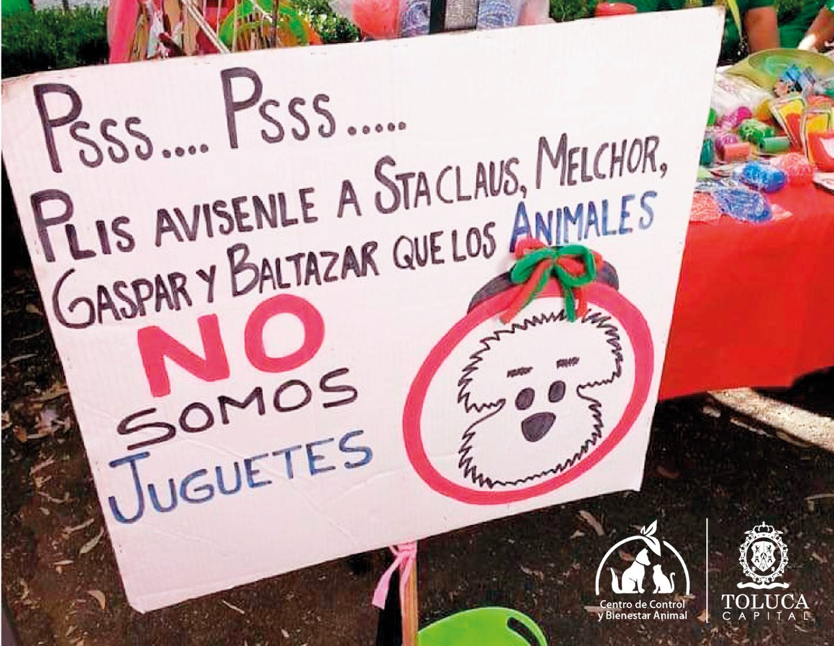 Vamosxunacasa's tweet photo. Cuando regalas animales los condenas al abandono o al maltrato. ¡Esta Navidad NO regales animales! #TodavidaVale #AdoptaNoCompres #AyudaConUnRT https://t.co/p2RM3Vt1NW