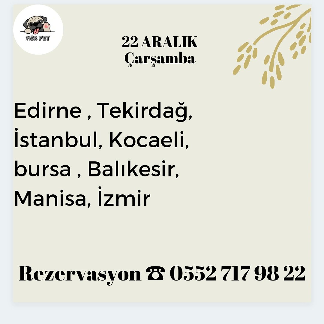 Mir Pet Nakil (@mirpetnakil) on Twitter photo 