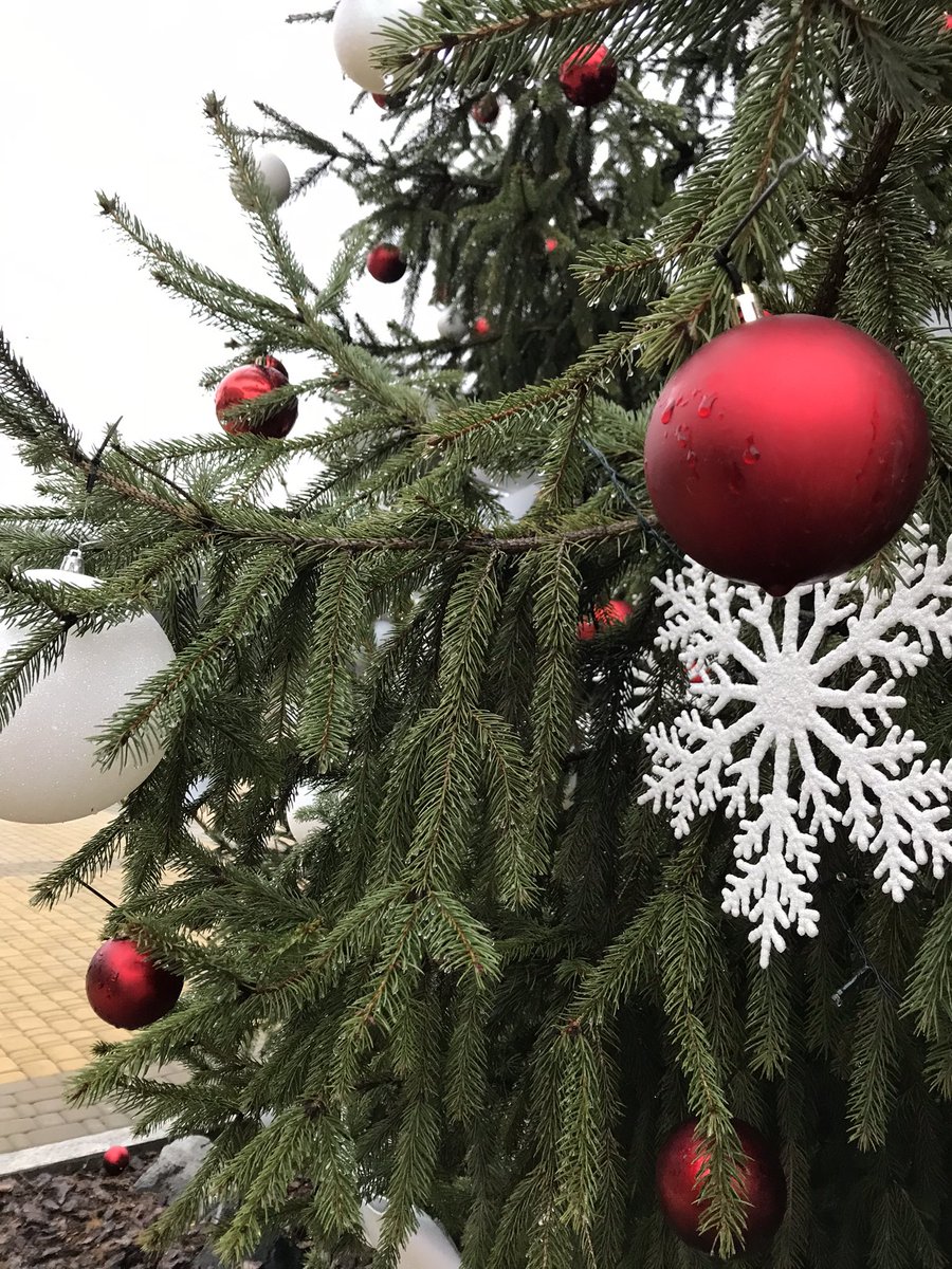 _nastya18's tweet photo. New🎄❄️ https://t.co/tFF8pvOxKB