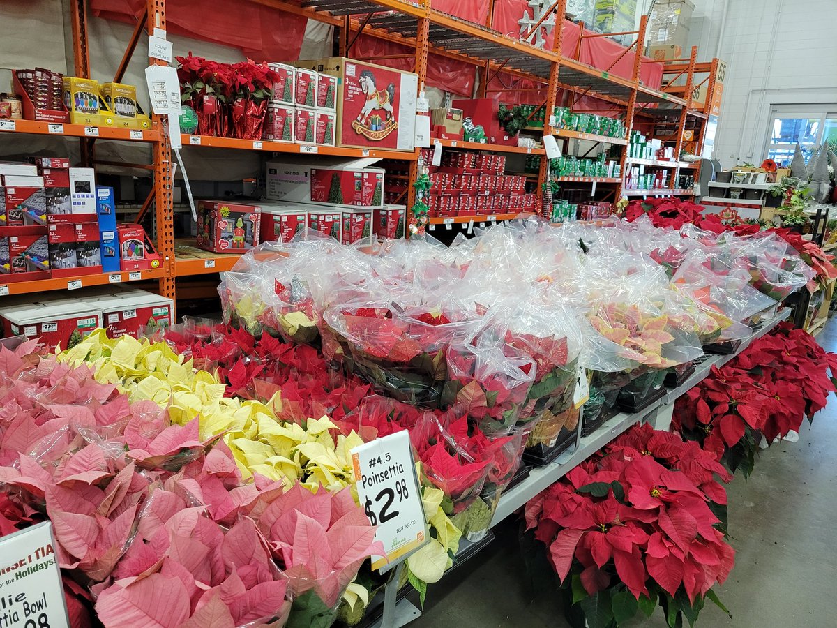 <a href="/Matthew55356132/">Matthew Floyd</a> 
<a href="/MGIflowers/">Michaels Greenhouses</a> 
THD Wallingford, CT
All fresh and ready for the weekend!
Great last minute hostess gift for Holiday parties