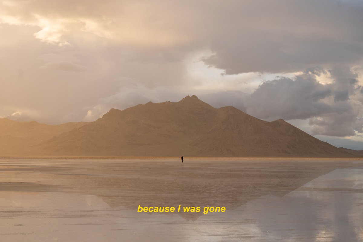 danielle tweet media