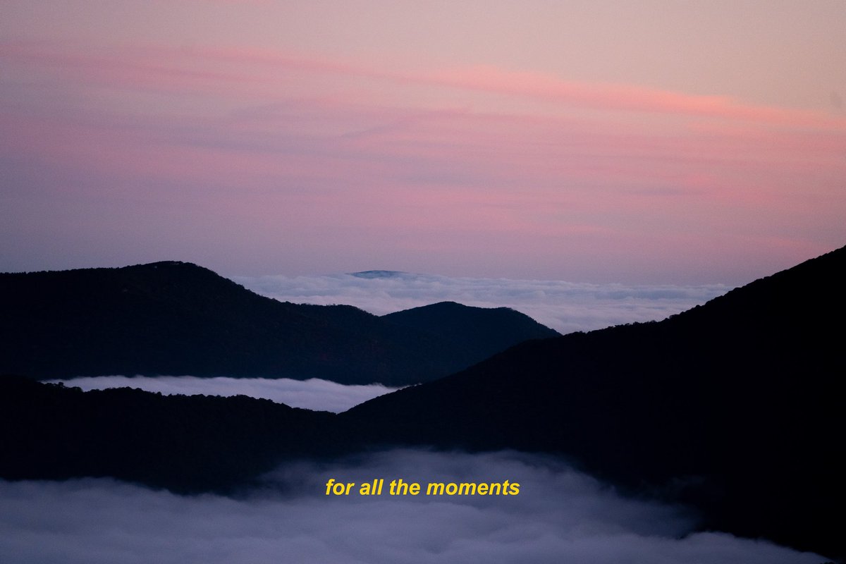 danielle tweet media