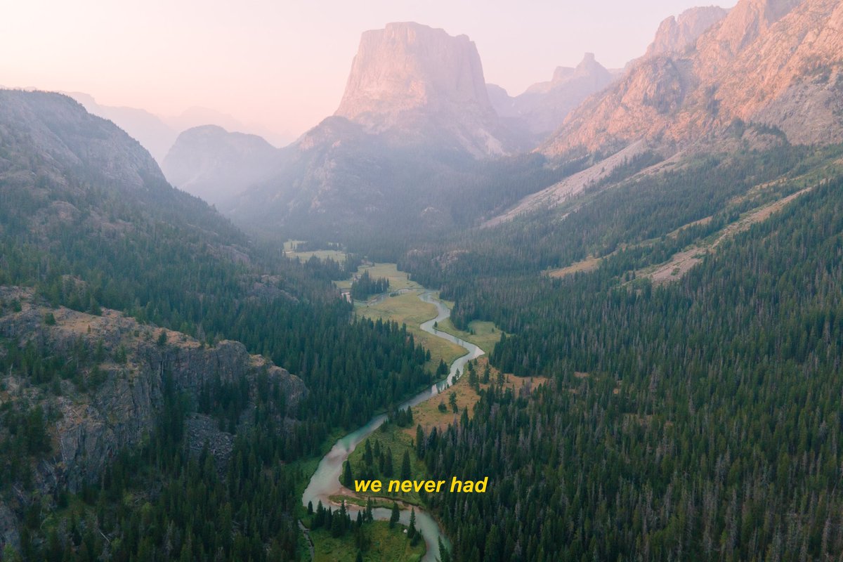 danielle tweet media