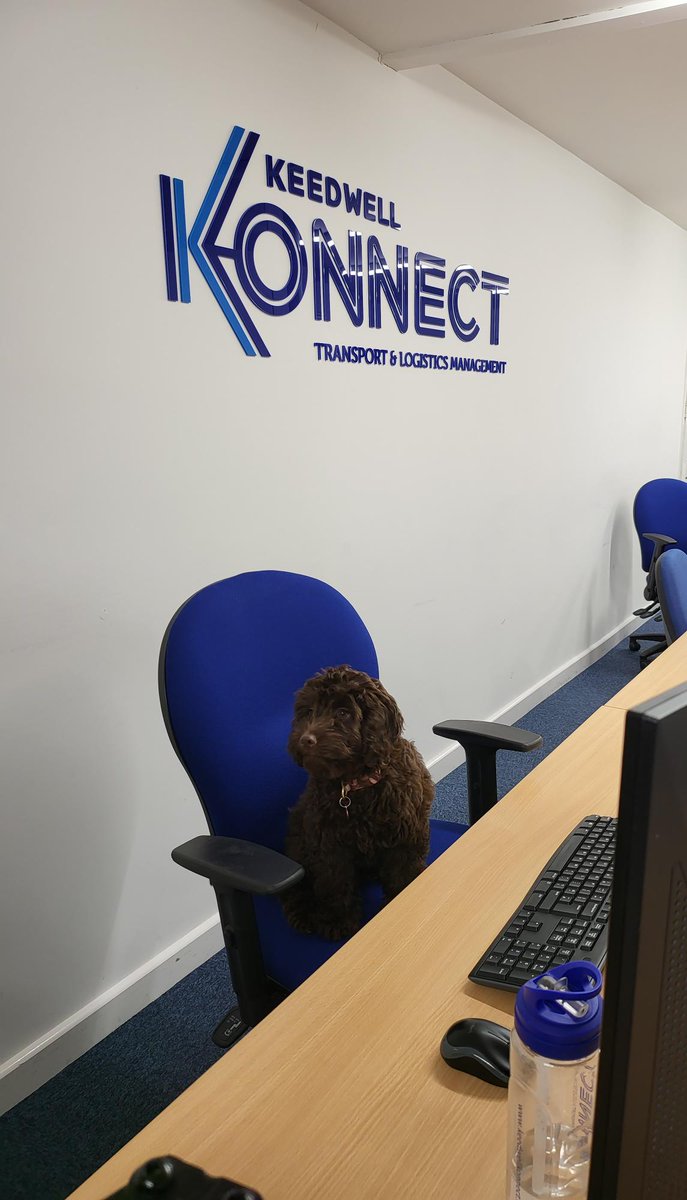 Keedwell Konnect tweet media