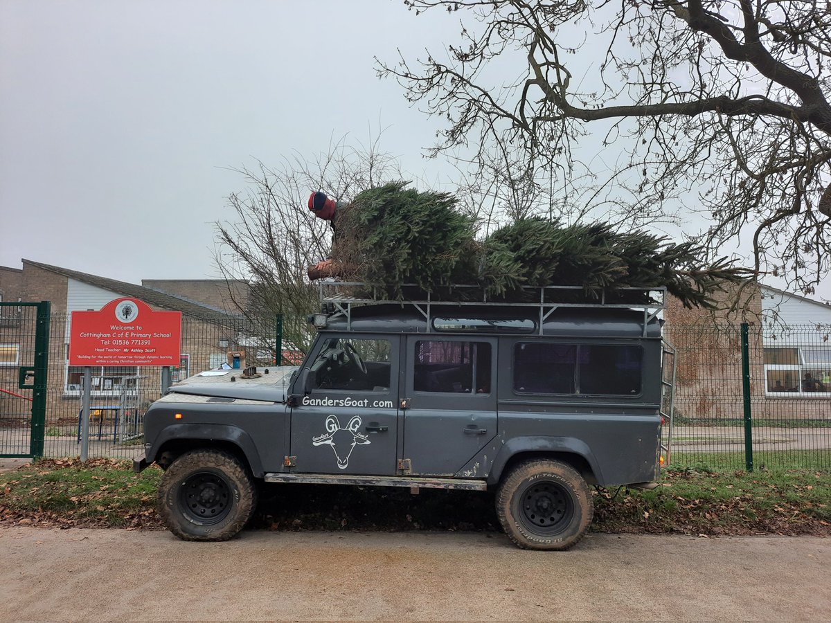 Ganders Goat tweet media