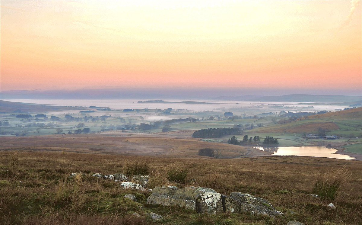 staylambinglive's tweet photo. First morning up the fell of the winter- Good to see the sheep where we left them last night. #hefted #Sheepfarm #rural #sunrise #countryside #photography #Farming #farminguk #cumbria https://t.co/43zz8eoDGj