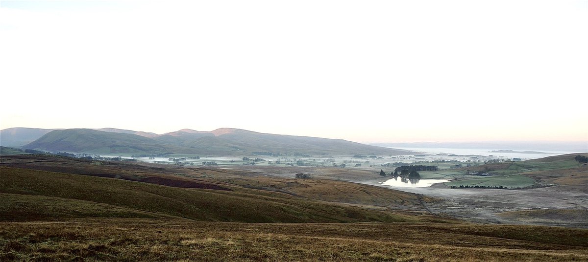 staylambinglive's tweet photo. First morning up the fell of the winter- Good to see the sheep where we left them last night. #hefted #Sheepfarm #rural #sunrise #countryside #photography #Farming #farminguk #cumbria https://t.co/43zz8eoDGj