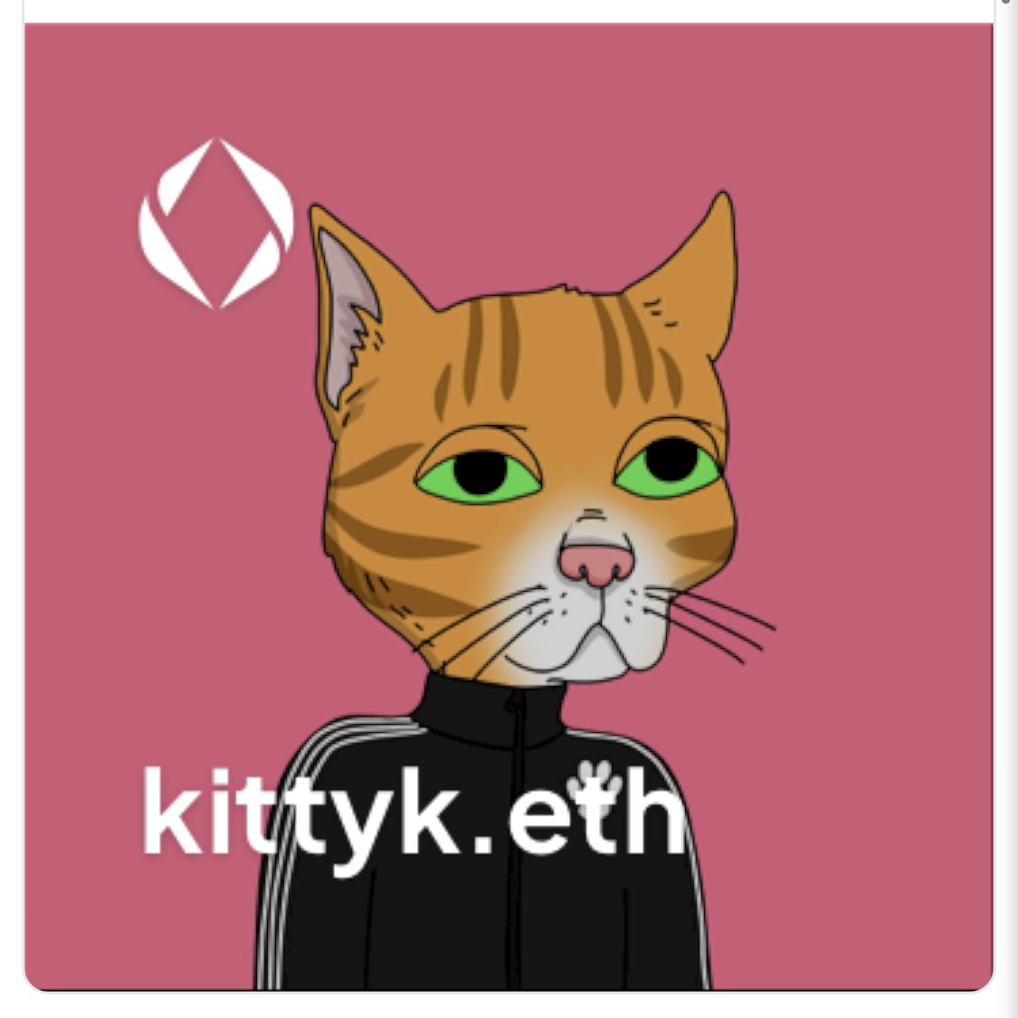 Kitty Kardashian 😼 tweet media