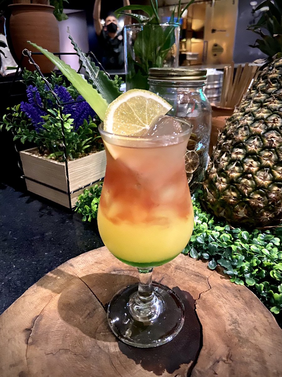 HRHRivieraMaya's tweet photo. Bob Marley. 🍹
1.5 Oz. Vodka.
3.0 Oz. Orange juice.
1.0 Oz. Watermelon liquour.
2.0 Oz. Cranberry jiuce.
.
.
.
.
.
#HardRockHotel 
#HRHRivieraMaya 
#RivieraMaya 
#DrinksRecipe
#AllInclusiveResort https://t.co/rGLWtBVeYk